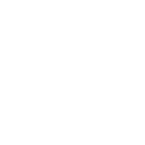 Esri Logo - Website Size