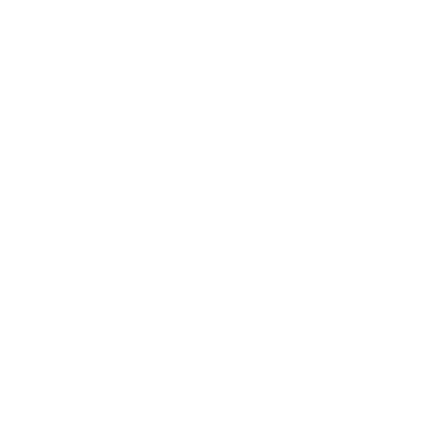 Romulus Logo - Website Size
