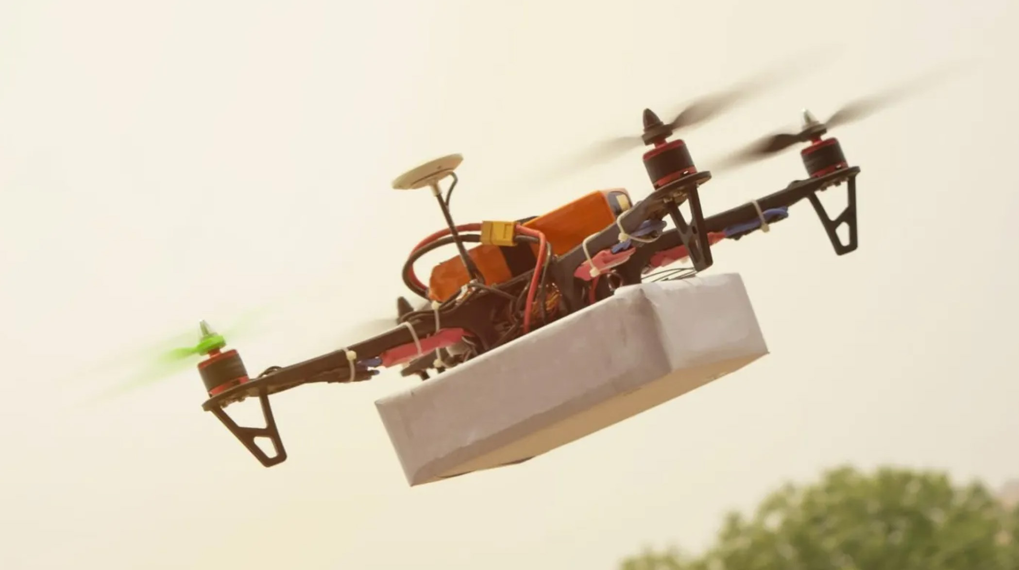 Drone Girl Photo 